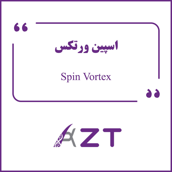 Spin Vortex