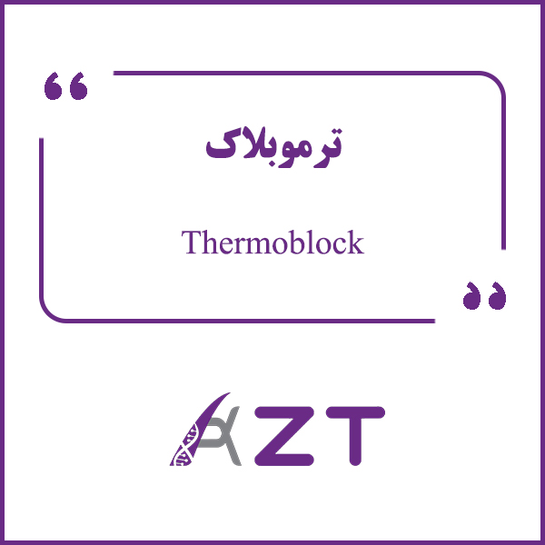 Thermoblock