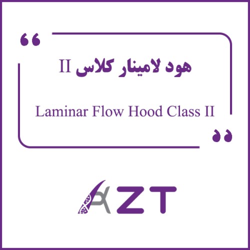 Laminar Flow Hood Class II